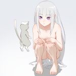  1girl elf emilia_(re:zero) flower hair_ornament highres nude pointy_ears puck_(re:zero) purple_eyes pussy re:zero_kara_hajimeru_isekai_seikatsu rose simple_background squatting white_background white_flower white_hair white_rose x_hair_ornament 