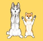  ayaka canid canine canis countershading domestic_dog duo female feral fur gesture grey_body grey_fur husky kyappy looking_at_viewer male mammal nordic_sled_dog orange_body orange_fur pawpads paws shiba_inu shibeta siberian_husky simple_background spitz standing waving waving_at_viewer white_body white_fur yellow_background 