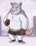  2023 anthro biped bottomwear boxing_gloves boxing_shorts buffalonickels clothing fighting_ring fur grey_body grey_fur grey_nose handwear male mammal murid murine rat rodent shorts solo 