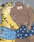  2023 anthro bear blush bodily_fluids clothing duo felid hi_res humanoid_hands kemono male male/male mammal moobs navel nipples overweight overweight_male pantherine simple_background sweat tiger tmnt_omawari3 underwear 