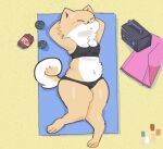  ambiguous_gender anthro beach belly bra canid canine canis clothed clothing domestic_dog mammal seaside shiba_inu slightly_chubby solo spitz sports_bra underwear 