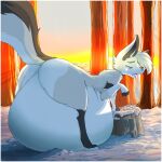  ambiguous_gender belly big_belly big_butt blue_eyes butt canid canine feral fox fur garuda_six grey_body grey_fur hair hi_res hyper hyper_belly mammal outside plant rock snow solo sunset tongue tongue_out tree unknown_character white_body white_fur white_hair 