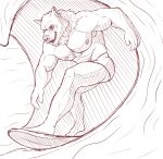  abs anthro canid canine canis hi_res male mammal muscular pecs quicktoneart sea solo surfing water were werecanid werecanine werewolf wolf 