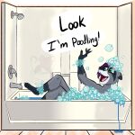  absurd_res anthro bath bathroom bathtub bubble_bath feet female fur green_eyes grey_body grey_fur hair hi_res mammal misspooks pawpads procyonid purple_hair raccoon 