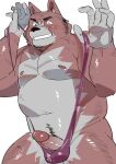  2023 absurd_res anthro black_nose blush bodily_fluids brown_body bulge canid canine canis clothing domestic_dog erection genital_fluids genitals hi_res humanoid_genitalia humanoid_hands humanoid_penis kemono male mammal musclegut penis precum simple_background slightly_chubby solo ujishiyo underwear white_background 