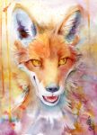  abstract_background akatan_art anthro canid canine cheek_tuft facial_tuft fox fur headshot_portrait hi_res looking_aside male mammal neck_tuft no_sclera open_mouth orange_body orange_eyes orange_fur painting_(artwork) portrait pupils slit_pupils solo traditional_media_(artwork) tuft watercolor_(artwork) white_body white_fur 