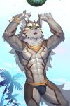  2:3 5_fingers abs absurd_res anthro beach bracelet briefs bulge canid canine canis claws clothing countershading fingers food fruit green_eyes hair hi_res jackal jewelry lifewonders long_hair male mammal mane mane_hair melon muscular muscular_anthro muscular_male navel open_mouth palm_tree pecs plant seaside seth_(tas) solo speedo sport standing swimwear tokyo_afterschool_summoners tree ty_arashi underwear volleyball watermelon 