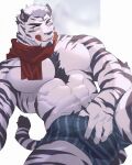  1boy :q abs animal_ears arknights bara blush boxers bulge chest_tuft erection erection_under_clothes facial_hair feet_out_of_frame furry furry_male goatee hachi_duchi highres large_pectorals lying male_focus male_underwear mature_male mountain_(arknights) muscular muscular_male navel navel_hair no_nipples on_back pectorals red_scarf scar scar_across_eye scarf seductive_smile selfie short_hair sideburns smile solo spread_legs stomach striped_male_underwear thick_thighs thighs tiger_boy tiger_ears tongue tongue_out topless_male underwear white_fur white_hair 