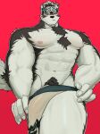  abs accessory anthro arm_tuft body_hair bottomwear canid canine canis chest_hair chest_tuft clothing elbow_tuft genitals half-erect happy_trail headband hi_res horkeu_kamui_(tas) lifewonders loincloth male mammal muscular muscular_arms muscular_legs muscular_male mymu666 navel nipples pecs penis pubes solo tokyo_afterschool_summoners tuft vo7gu46xduh36 wolf yellow_eyes 