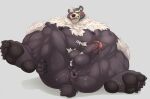  anthro anus balls bear bodily_fluids genital_fluids genitals leaking_precum lifewonders male mammal muscular muscular_anthro muscular_male nipples pawpads penis precum solo spread_anus spreading taighet_28 tokyo_afterschool_summoners vein veiny_penis wen_kamui_(tas) 