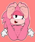  5_fingers 5_toes amy_rose anthro anus bedroom_eyes classic_amy_rose classic_sonic_(universe) dummycervine eulipotyphlan feet female fingers foot_fetish foot_focus genitals hedgehog hi_res mammal narrowed_eyes pink_body pussy seductive sega solo sonic_the_hedgehog_(series) toes wrinkled_feet 