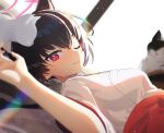  1girl absurdres animal animal_ear_fluff animal_ears black_hair blue_archive blurry blurry_foreground blush bongnom breasts cat cat_ears closed_mouth commentary depth_of_field dutch_angle hair_between_eyes hakama hakama_skirt halo highres japanese_clothes kimono looking_at_viewer lying medium_breasts miko on_back one_eye_closed red_eyes red_hakama serika_(blue_archive) serika_(new_year)_(blue_archive) short_hair skirt smile solo sweat upper_body white_kimono 