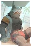  2023 abs anthro areola beach birry41 bodily_fluids brown_body brown_fur canid canine canis clothing domestic_dog fur hair hi_res lifewonders looking_away male mammal muscular muscular_anthro muscular_male palm_tree plant sea seaside sitting solo sweat swimwear tadatomo tokyo_afterschool_summoners tree water white_hair 