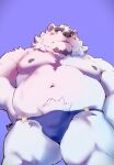  absurd_res anthro bear belly black_nipples blush borealis_(live_a_hero) bulge clothing facial_hair fur goatee heylaw21 hi_res lifewonders live_a_hero low-angle_view male mammal musclegut navel nipples pecs polar_bear solo speedo swimwear ursine white_body white_fur 