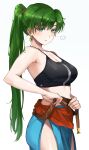  1girl absurdres adapted_costume black_sports_bra breasts cosplay earrings fire_emblem fire_emblem:_the_blazing_blade green_eyes green_hair highres jewelry long_hair looking_at_viewer lyn_(fire_emblem) lyn_(fire_emblem)_(cosplay) medium_support_(meme) meme miru_(ormille) mole mole_under_eye ormille ponytail solo sports_bra triple_vertical_stripe undressing 