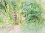  animal bush cat fern grass kitten original painting_(medium) plant realistic scenery tall_grass traditional_media watercolor_(medium) weeds yu_grassbird 