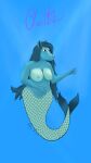  absurd_res anthro areola bbear big_breasts big_butt blue_body blue_eyes blue_hair blue_scales breasts butt cherith_(bbear) dated digital_media_(artwork) equid equine female hair hi_res long_hair mammal marine merfolk mermaid_tail name_drop nipples nude scales shaded signature simple_background smile solo split_form swimming tail underwater water wide_hips 