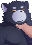  2023 anthro black_body black_nose domestic_cat duo felid feline felis hi_res humanoid_hands kemono male mammal moobs overweight overweight_male portrait simple_background solo_focus trail_arnak white_background 