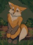  absurd_res anthro canid canine forest fox hi_res male mammal plant solo tree unknown_(disambiguation) 