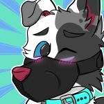  anthro blush canid canine canis collar domestic_dog floppy_ears foxyroxford gordiethecollie hi_res male mammal muzzle_(object) muzzled solo 