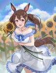  1girl animal_ears bare_shoulders blue_bow blue_sky blurry blurry_background blush bow breasts brown_hair chikabo_m cloud cloudy_sky commentary_request cowboy_shot dress ear_ornament field flower flower_field hair_between_eyes hishi_akebono_(umamusume) holding holding_flower horse_ears horse_girl horse_tail large_breasts looking_at_viewer medium_breasts off-shoulder_dress off_shoulder open_mouth outdoors red_eyes sky smile solo sunflower sunflower_field tail twintails twitter_username umamusume white_dress 
