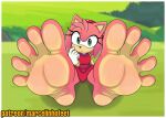  absurd_res amy_rose eulipotyphlan feet female foot_fetish foot_focus hedgehog hi_res mammal marcelinhofeet sega solo sonic_the_hedgehog_(series) 