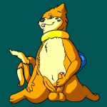  balls belly blep bodily_fluids buizel feral flygon_(artist) foreskin generation_4_pokemon genital_fluids genitals hand_on_penis hi_res male mammal masturbation multi_genitalia multi_penis mustelid musteline nintendo orange_body otter penis pokemon pokemon_(species) precum retracted_foreskin ripparu solo tan_belly tongue tongue_out true_musteline weasel 