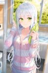  1girl absurdres ahoge bathtub breasts cleavage drying drying_hair green_eyes highres hood hoodie indoors long_hair medium_breasts na_kyo original partially_unzipped smile striped striped_hoodie towel wet white_hair window 