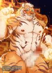  1boy abs bara blush censored character_request completely_nude cum cum_on_body cum_on_boy cum_on_pectorals daisukebear ejaculation erection feet_out_of_frame fire flaming_hand furry furry_male gyee handsfree_ejaculation highres large_pectorals looking_at_viewer male_focus mature_male mosaic_censoring muscular muscular_male navel nipples nude paid_reward_available pectorals pyrokinesis seductive_smile short_hair smile solo stomach thick_thighs thighs tiger_boy 
