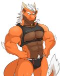  abs anthro arm_tuft biceps bulge clothing dragon elbow_tuft fur furred_dragon hair hi_res horn koru lofnirv male muscular muscular_anthro muscular_male pecs scalie simple_background solo tail tuft underwear white_background 