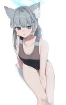  1girl :o animal_ear_fluff animal_ears aqua_eyes arm_between_legs arm_support blue_archive blush breasts cleavage collarbone competition_swimsuit cross_hair_ornament extra_ears feet_out_of_frame grey_hair hair_ornament halo highres looking_at_viewer medium_breasts mismatched_pupils official_alternate_costume one-piece_swimsuit shiroko_(blue_archive) shiroko_(swimsuit)_(blue_archive) simple_background sitting solo swimsuit terano_naa thigh_gap two-tone_one-piece_swimsuit white_background wolf_ears 