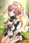  1girl animal_ears belt blue_shirt brown_belt commentary fire_emblem fire_emblem_heroes frilled_sleeves frills gonzarez grey_eyes highres holding_acorn kneeling leather_belt long_sleeves looking_at_viewer pink_hair ratatoskr_(fire_emblem) shirt solo squirrel_ears squirrel_girl squirrel_tail tail turtleneck white_wrist_cuffs 