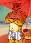  2023 anthro artist_name athletic athletic_anthro athletic_male beach beach_umbrella boxers_(clothing) brown_body brown_fur brown_stripes chest_tuft clothing colored countershade_arms countershade_face countershade_torso countershading crossed_arms dipstick_tail fangs felid fur gerundank male mammal markings morenatsu multicolored_body multicolored_fur navel open_mouth open_smile pantherine pattern_clothing pattern_underwear portrait sand sea seaside sharp_teeth smile solo striped_boxers striped_clothing striped_underwear stripes tail tail_markings tan_body tan_countershading tan_fur teeth three-quarter_portrait tiger torahiko_(morenatsu) tuft underwear water yellow_body yellow_fur 
