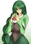  braid french_braid green_hair long_hair momi_(pokemon) pokemon solo umino_mokuzu_(a4_size) very_long_hair 