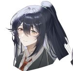  1boy aqua_eyes black_coat black_eyes black_hair black_vest bonno_sasu closed_mouth coat collared_shirt heterochromia high_ponytail hong_lu_(project_moon) limbus_company long_hair looking_at_viewer male_focus necktie project_moon red_necktie shirt sidelocks simple_background smile solo very_long_hair vest white_background 