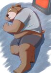  2023 anthro bear black_nose bottomwear brown_body brown_fur bulge clothing eyes_closed fur hi_res humanoid_hands kemono lying male mammal overweight overweight_male shirt shorts sleeping solo tail_person topwear 