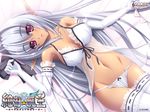  babydoll bow bow_bra bow_panties bra dark_skin elbow_gloves elf front-tie_top gloves highres lingerie luiana_drawers panties pointy_ears purple_eyes see-through silver_hair solo thighhighs underwear underwear_only white_bra white_panties yatsuha_kanan zettai_maou 