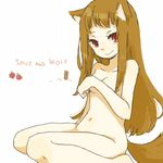  animal_ears apple barefoot breast_hold breasts brown_hair covering covering_breasts food fruit holo long_hair looking_at_viewer navel nude red_eyes sitting smile solo spice_and_wolf tail wariza wolf_ears wolf_tail yukke 