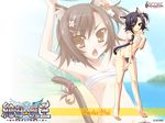  :p animal_ears armpits barefoot bell black_hair cat_ears cat_tail fang feet flat_chest fundoshi highres japanese_clothes katagiri_hinata light_particles ribbon sarashi sasha_yui short_hair tail tail_bell tail_ribbon tongue tongue_out wallpaper zettai_maou 