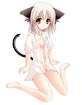  animal_ears barefoot brown_eyes cat_ears cat_tail kneeling open_clothes open_shirt shirt short_hair solo tail yamamoto_nori 