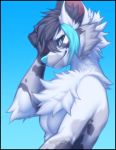  2019 anthro black_hair blue_background blue_eyes blue_nose breasts canid canine canis digital_media_(artwork) domestic_dog elbow_tufts falvie featureless_breasts female fur hair headshot inner_ear_fluff looking_at_viewer mammal nude simple_background smile solo tuft white_fur 