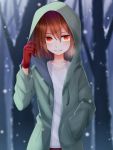  1other artist_request brown_hair chara_(undertale) commentary_request gloves green_hoodie grin hair_between_eyes hand_in_pocket highres hood hoodie lips long_sleeves looking_at_viewer open_clothes open_hoodie orange_eyes red_gloves shiny shiny_hair shirt short_hair smile snow solo storyshift undertale white_shirt 