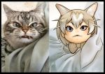  angry animal_ears black_border blanket border bow bowtie cat cat_(kemono_friends) cat_ears commentary_request dated extra_ears eyebrows_visible_through_hair fangs hair_between_eyes kemono_friends korean_commentary looking_at_viewer mixed-language_commentary photo photo-referenced reference_photo_inset roonhee silver_eyes solo v-shaped_eyebrows 