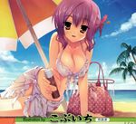  absurdres arm_support beach beach_umbrella bikini blush breasts cleavage covered_nipples day flower foreshortening frilled_bikini frills hair_flower hair_ornament hibiscus highres kobuichi large_breasts outdoors palm_tree print_sarong purple_hair sarong short_hair sitting swimsuit tenshinranman tokiwa_mahiro tree umbrella white_sarong 