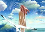  ass back bird bridge character_request cloud day mountain nude ocean screencap seagull sky solo source_request water 