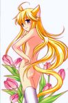  ahoge amou_mari animal_ears ass blonde_hair cat_ears cat_tail copyright_request crossed_legs flat_chest flower long_hair nipples nude purple_eyes smile solo standing tail thighhighs 