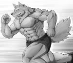  abs anthro canid canine canis clothing digital_media_(artwork) hi_res male mammal muscular muscular_male pecs wildheit wolf 