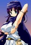  :&lt; armpits breasts cape dragon_quest dragon_quest_v genderswap genderswap_(mtf) hero_(dq5) hirowa_nagi large_breasts purple_hair solo torn_clothes 