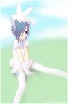  animal_ears bad_source blue_eyes blue_hair bunny bunny_ears bunny_tail copyright_request dress gloves hair_over_one_eye rynies solo tail thighhighs zettai_ryouiki 