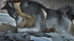  3d_(artwork) 69_position animated bisexual canid canine canis digital_media_(artwork) duo female feral feral_on_feral fur hi_res knotting male male/male mammal on_top oral penetration sex trioami260 wolf 